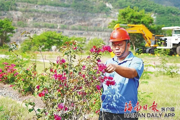 海南这座矿山，为何这么绿？4.jpg